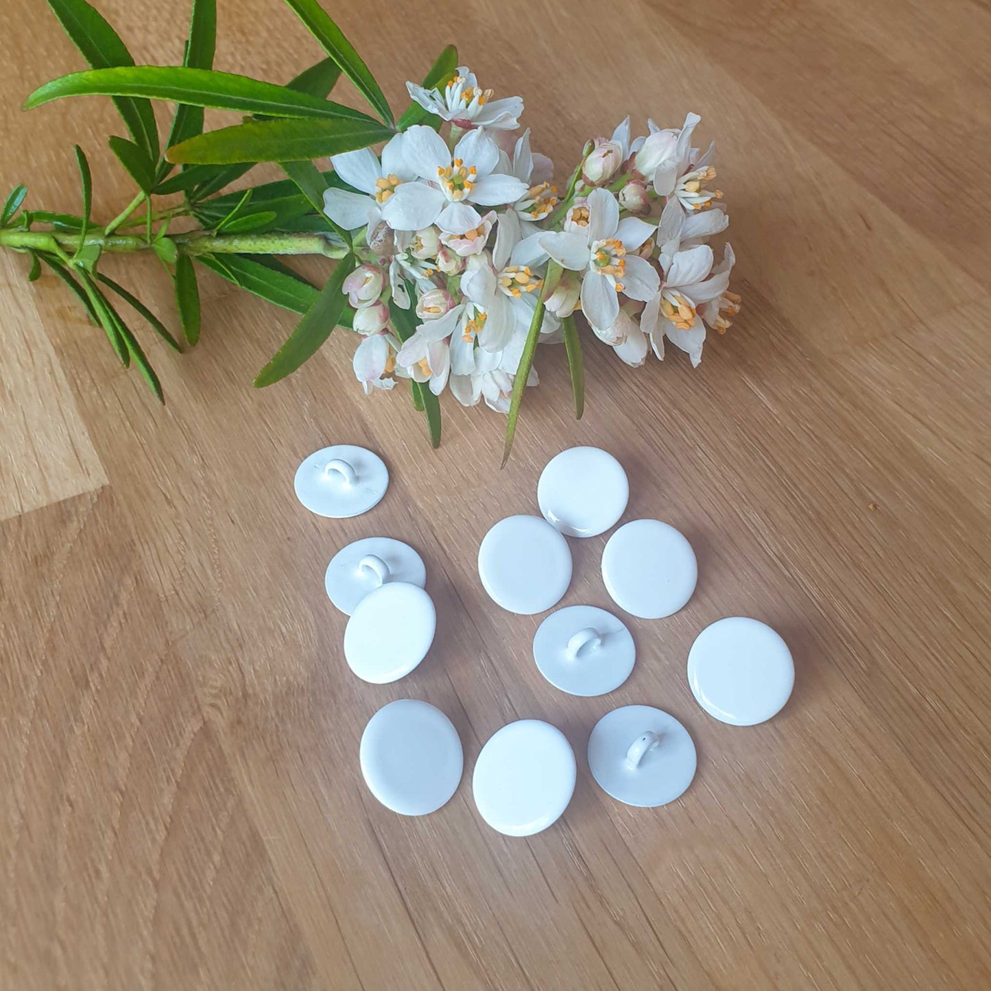Bouton Abraham - Perce-neige