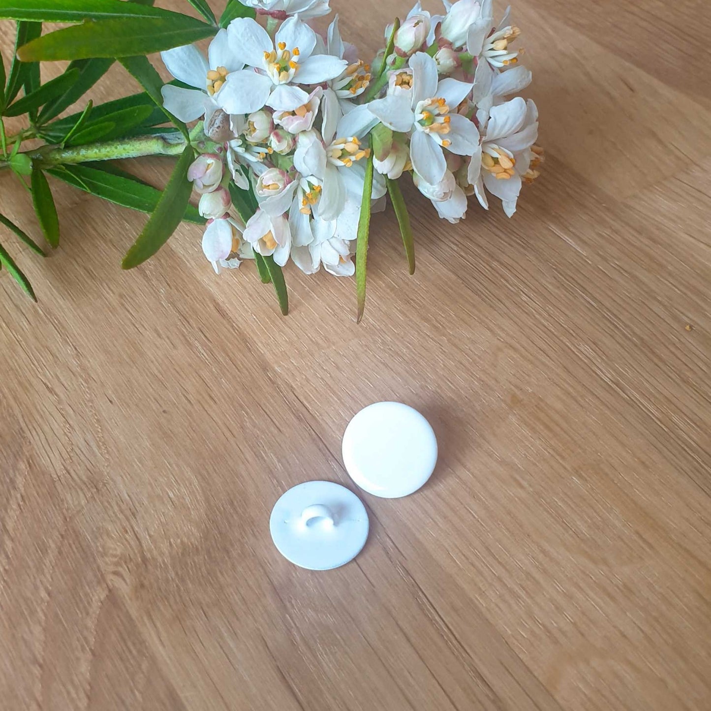 Bouton Abraham - Perce-neige