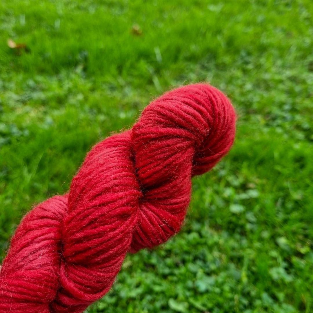 Nîmes - Coquelicot