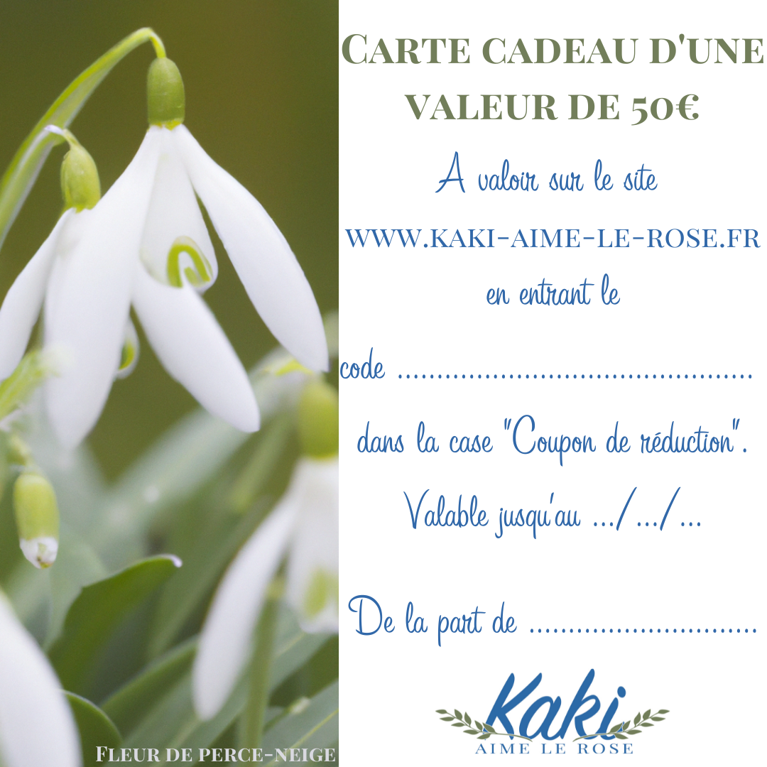 Carte cadeau, à partir de 12€