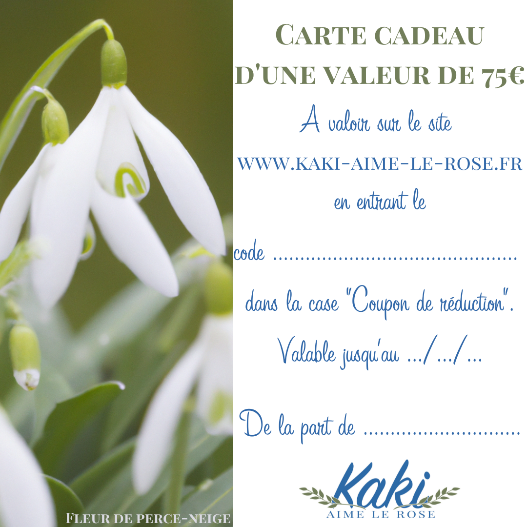 Carte cadeau, à partir de 12€